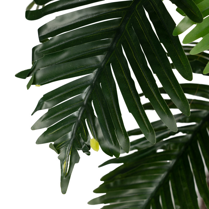 100cm Plant