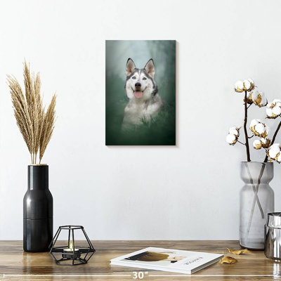 Husky On Grass