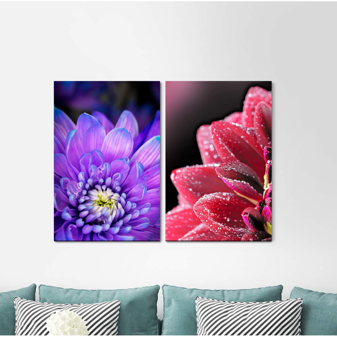 2-tlg. Leinwandbilder-Set - Fotografie „Zinnias Flowers Blossoms Summer Soft Soothing”