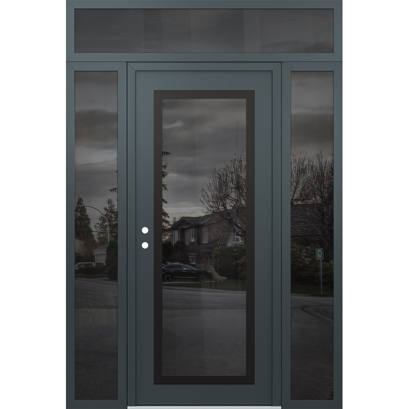 Panneau d'entrée en acier noir anthracite / anthracite avec panneau latéral et porte d'entrée pré-montée traverse, Gelé, Oui