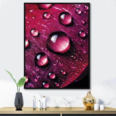 " Red Rose With Raindrops XII "