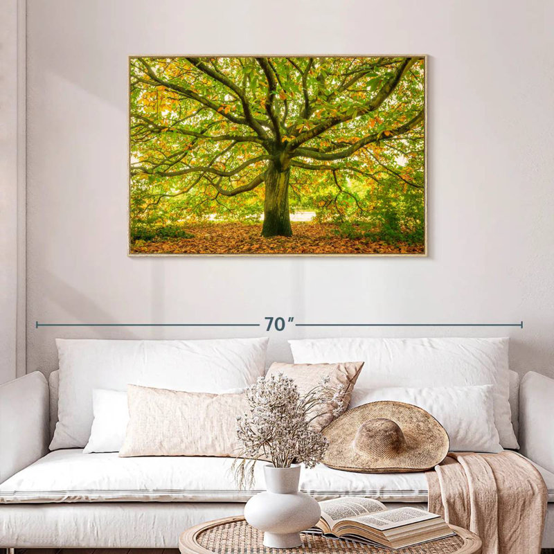 Chêne de Londres, Cadre flottant en bois naturel, 43 po x 29 po