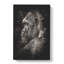 Silverback Gorilla - Wrapped Canvas-56637746