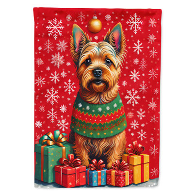 Drapeau de maison de Noël en polyester à double face H 40 po x l 28 po