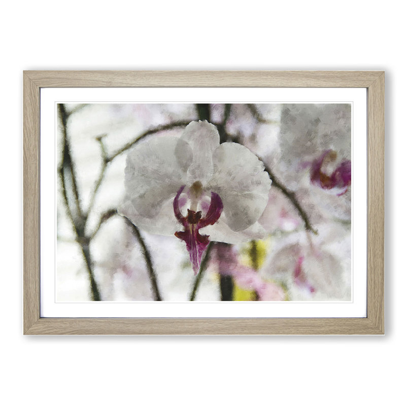 Orchid Flowers Vol.4 - Framed Print, 27cm H x 36cm W x 2cm D, Oak Framed