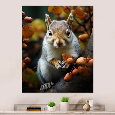 " Brown White Animal Squirrel I "