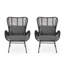 Ensemble de 2 chaises de patio en osier avec coussins Tapscott-894389459