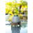 Raylee Ceramic Pot Planter-1880328726