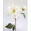 Dahlia artificiel blanc 20,5 po-539417854