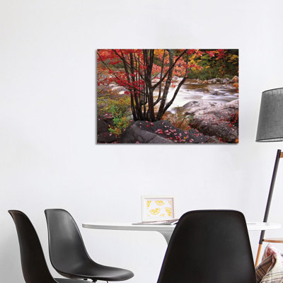 Swift River Near Rocky Gorge, White Mountains National Forest, New Hampshire by Tim Fitzharris - Wrapped Canvas Print