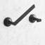 Lentz Wall Mounted Pivoting Toilet Paper Holder-1966695261
