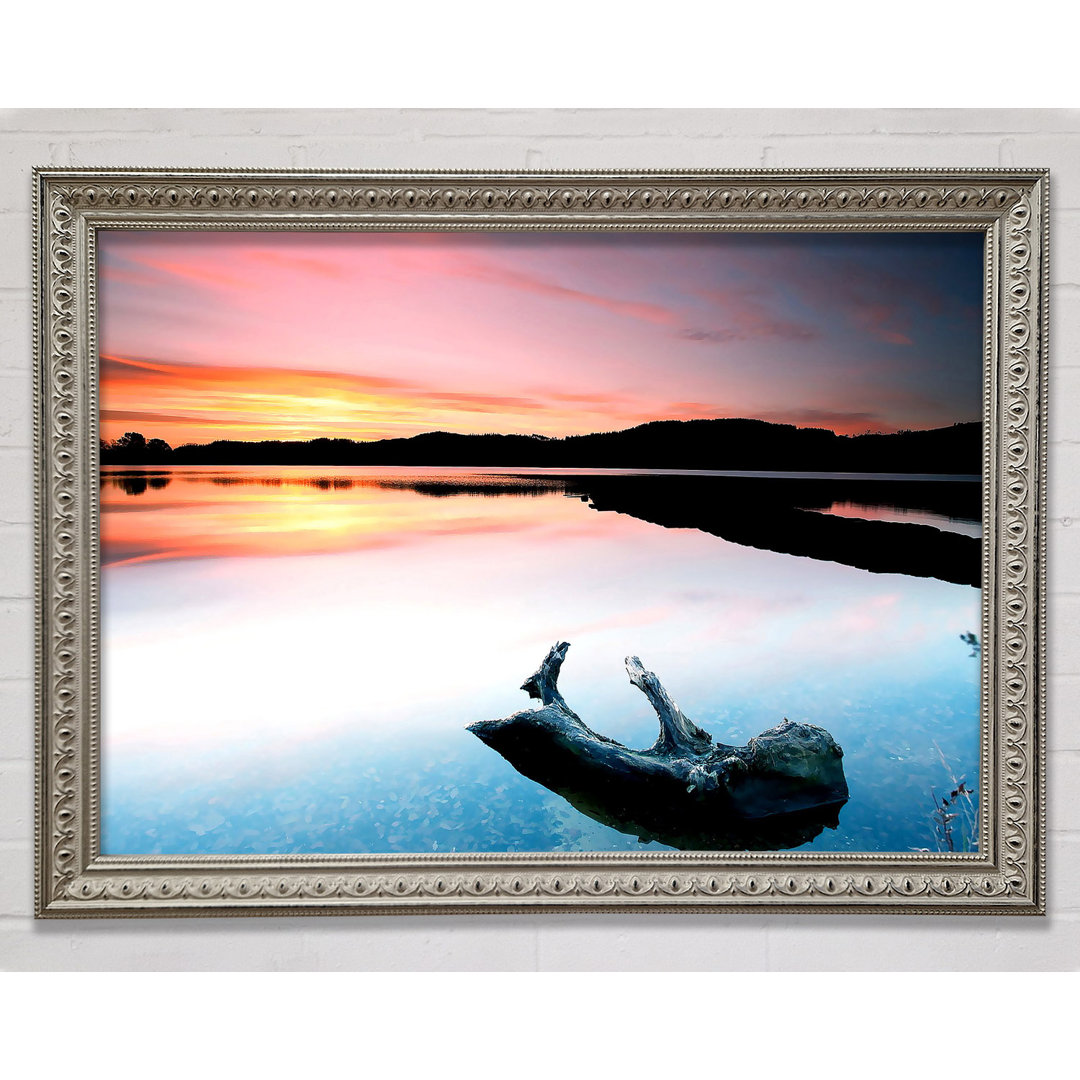 Gerahmtes Poster Driftwood In The Tranquil Ocean