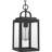 Miltona Outdoor Hanging Lantern