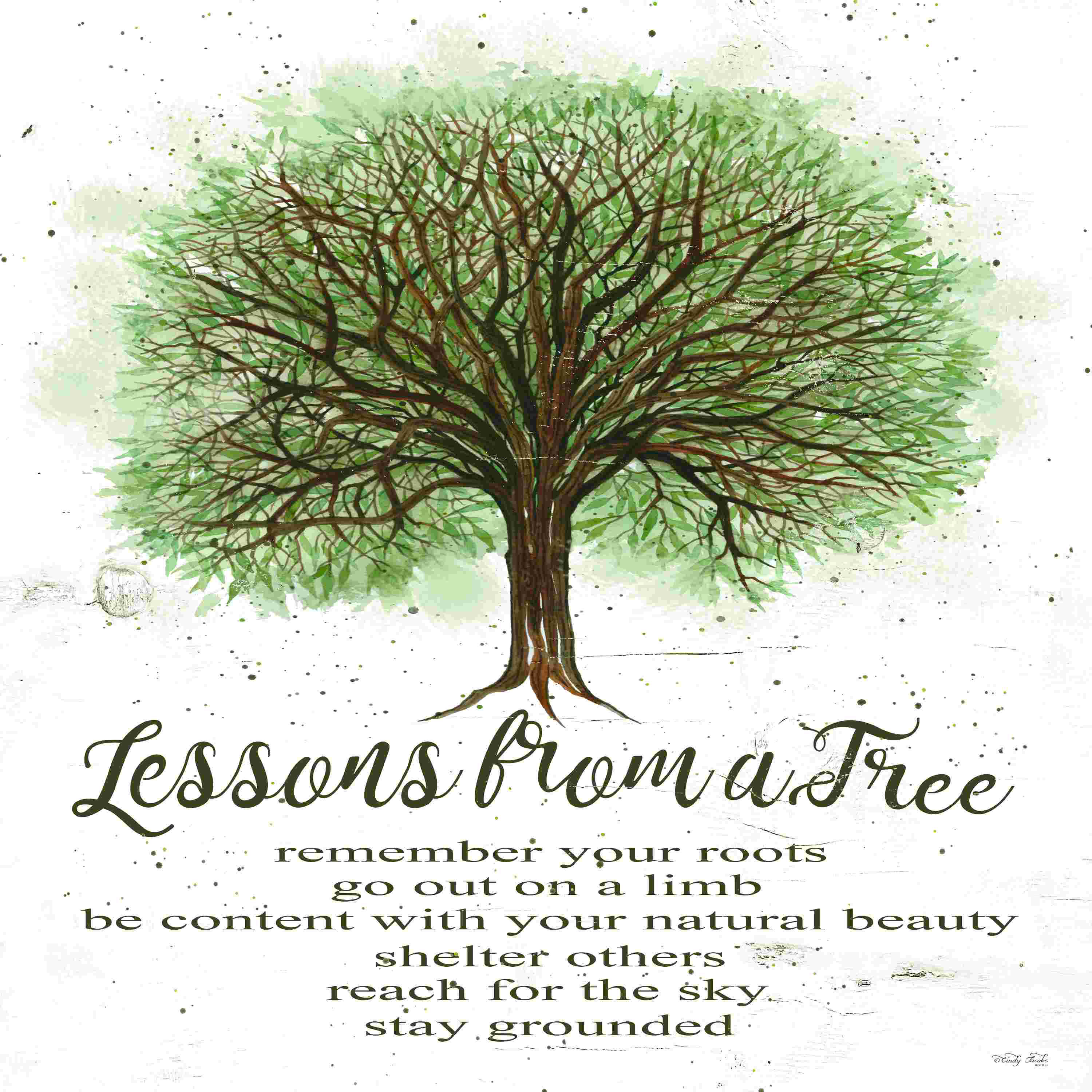 Trinx Lessons From A Tree On Canvas by Cindy Jacobs Textual Art | Wayfair