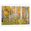 «Yellow Woods IV», reproduction sur toile-72113274-72113273-32495493