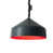 Black/Red