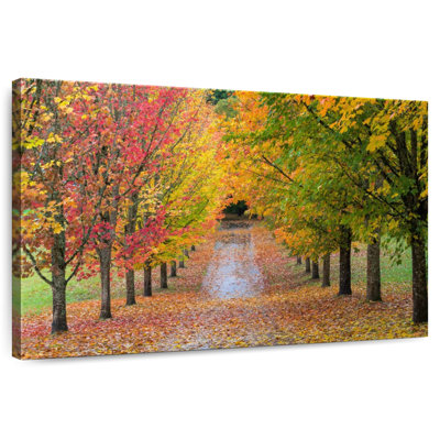 Harnek Autumn Trees Lane