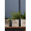 Aroma Handmade Planter Box