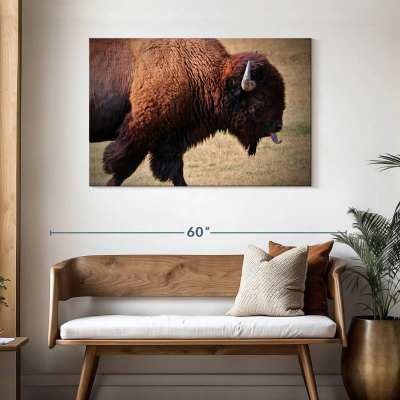 Tongue Wagging Bison, 30" H x 45" W