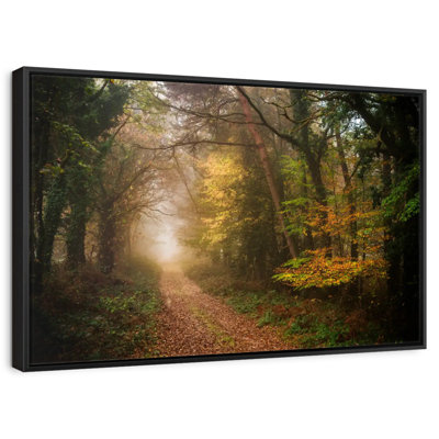Chemin dans la forêt d'automne