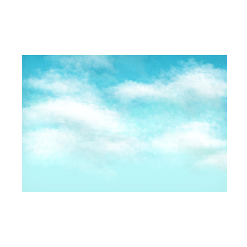 Art sur toile «Bachelor Tina Lavoie Blue Skies», H 12 po x l 19 po