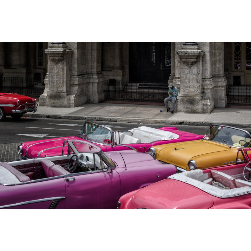 Wrapped Canvas Print, 50.8 cm H x 76.2 cm W
