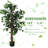 48'' Faux Ficus Tree in Pot