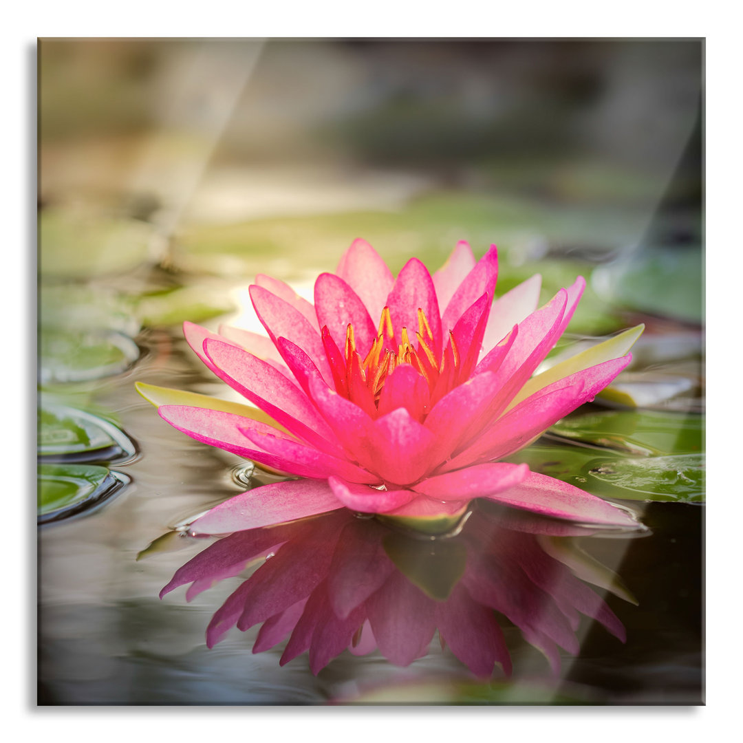 Ungerahmtes Foto auf Glas "Anmutige Seerose mit Blättern"