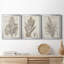 «Sepia Exotic Plants I», ensemble de 3 peintures sur toile encadrées-1945089280-1945089281