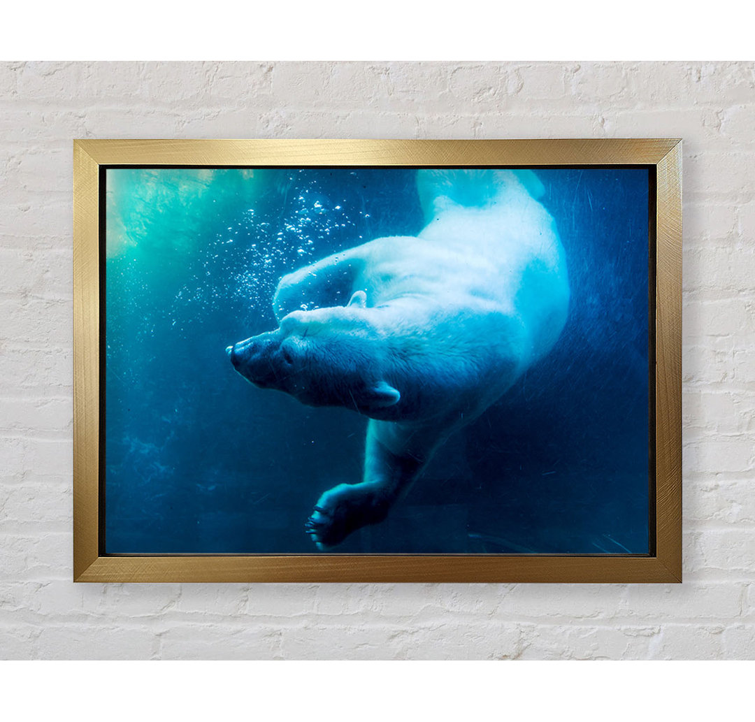 Gerahmtes Poster Polar Bear Swimming