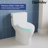 DV-1S0038 DeerValley Soft Close Toilet Seat Dual Nozzles Manual Non-electrical Bidet Toilet Seat