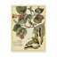 « fantaisiste papillons i », reproduction d’impression sur toile tendue-33423596