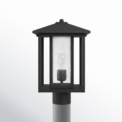 Vermont Seeded Lantern Head