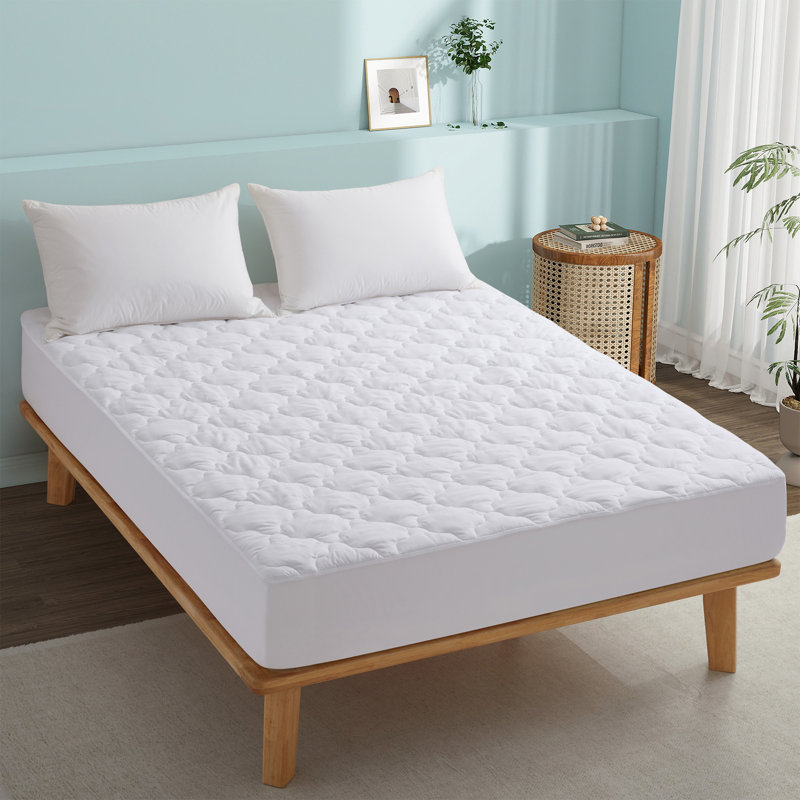 Raymond Waterproof Fitted Mattress Protector Case Pack, Full