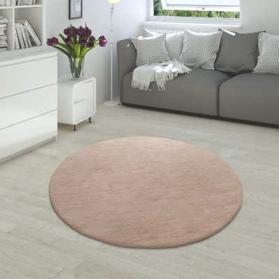 Aarju Area Rug