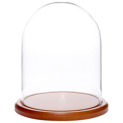 Jenett Glass Display Dome Cloche