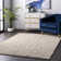Kara Solid Shag Area Rug