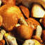 Print on Canvas-24057899-24088651