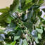 Faux Tree in Metal Planter-101685146-101685150