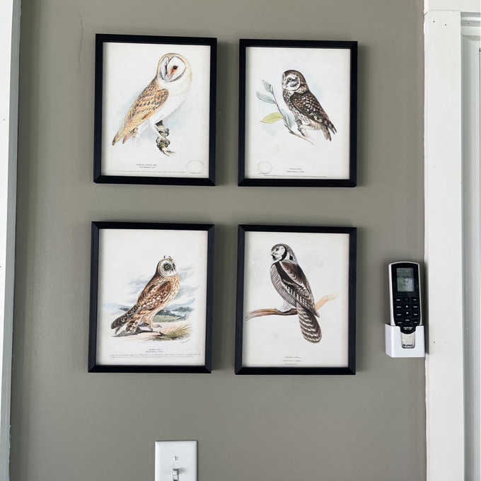 Barn Owl Framed Print - Set of 4 (Set of 4) - Walnut, 28" H x 22" W