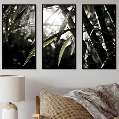 Black And White Bamboo Photo - Bamboo Wall Decor Set