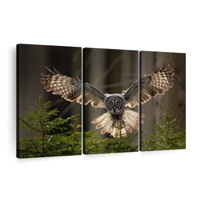 Flying Owl - Ensemble de 3 toiles tendues