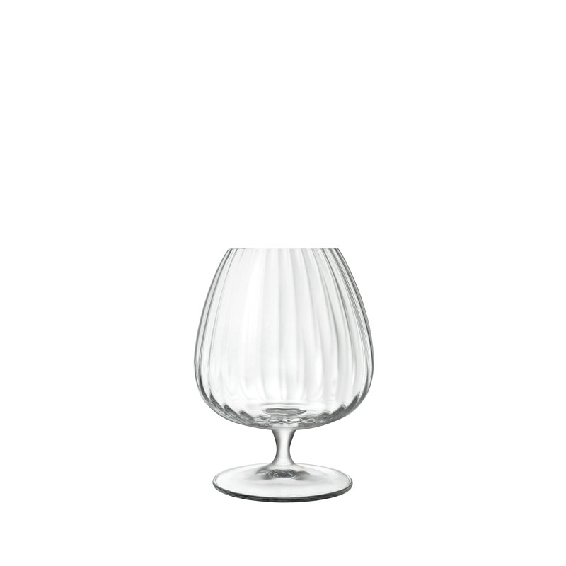 Optica 15.75 oz. Cognac Glasses (Set of 4)