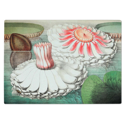 Tempered Glass Blooming Water Lily Chopping Board