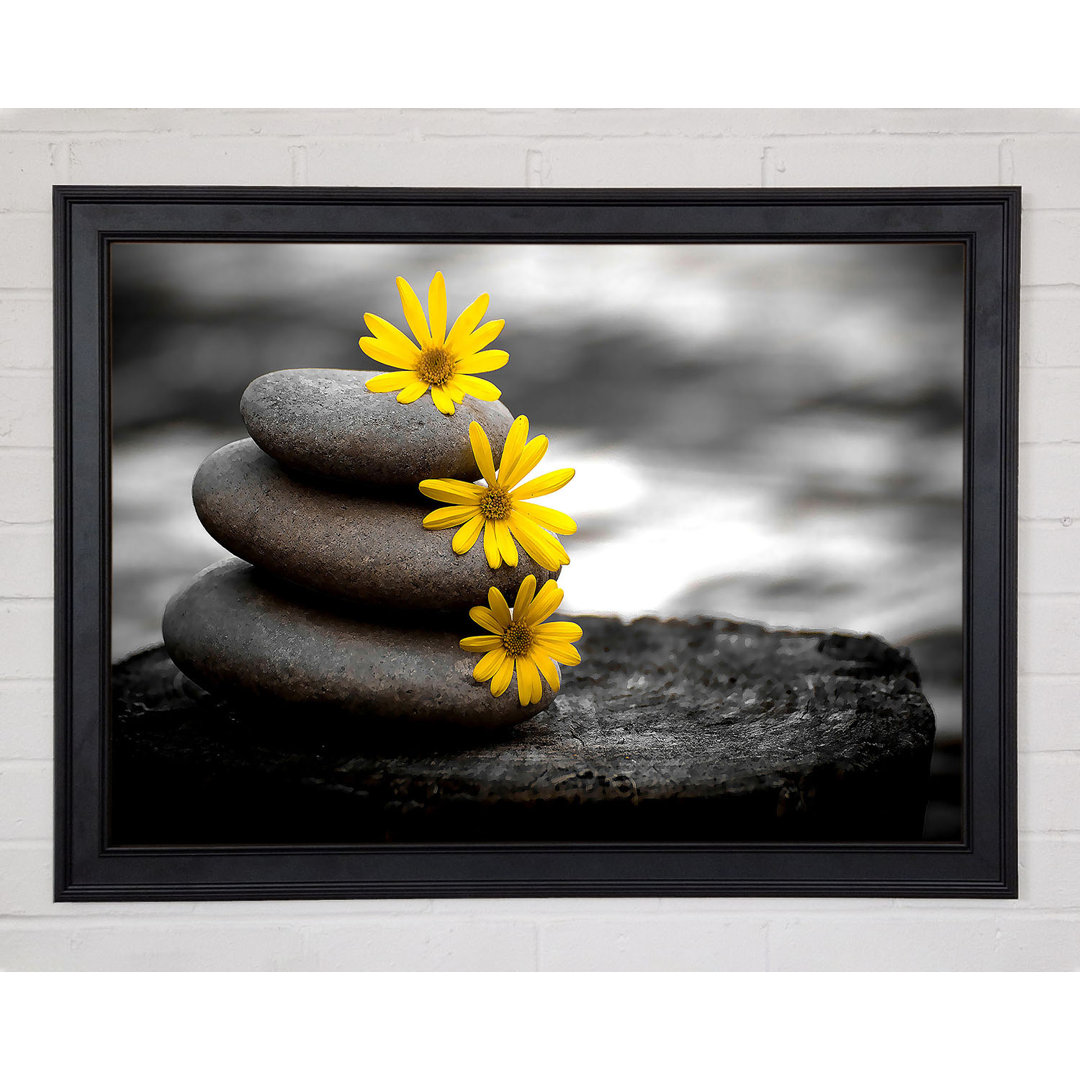 Zen Flowered Stones Gerahmter Druck