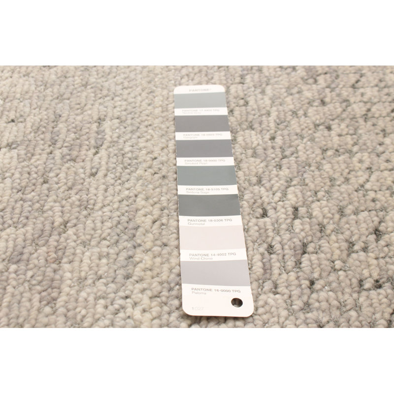 Silk Shadow Grey Rug 6'0" x 9'1"