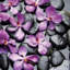 «Zen Pebbles II», reproduction de photo sur toile-21488103-71996305-72000154