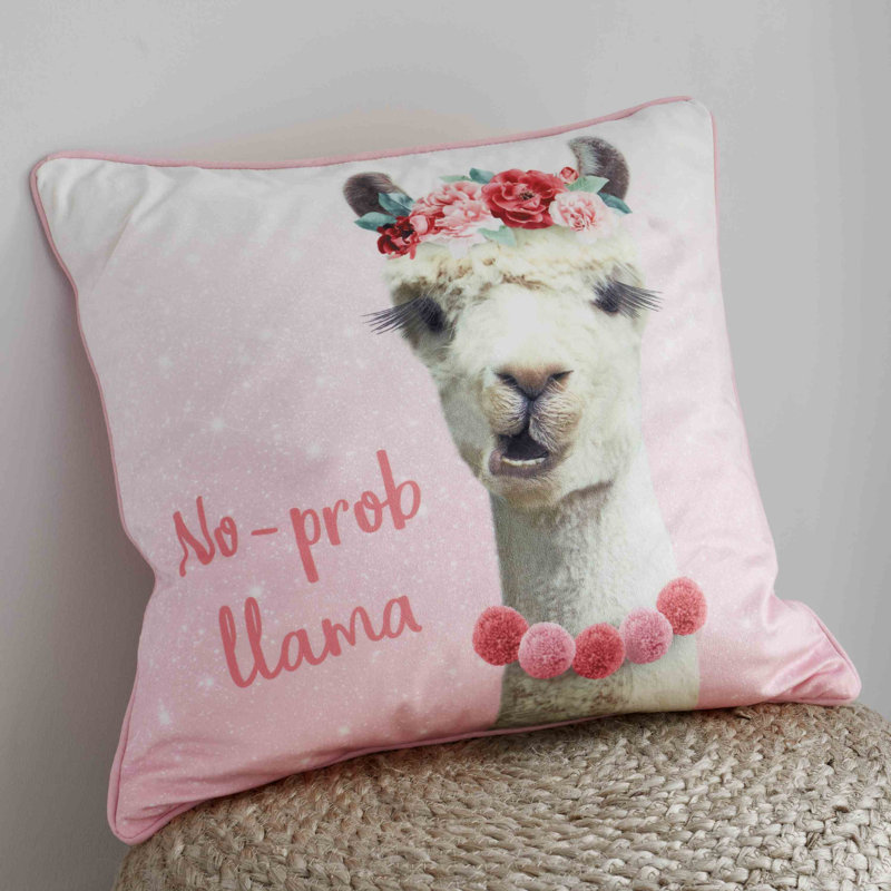Filled Cushion Scatter Cushion with Filling