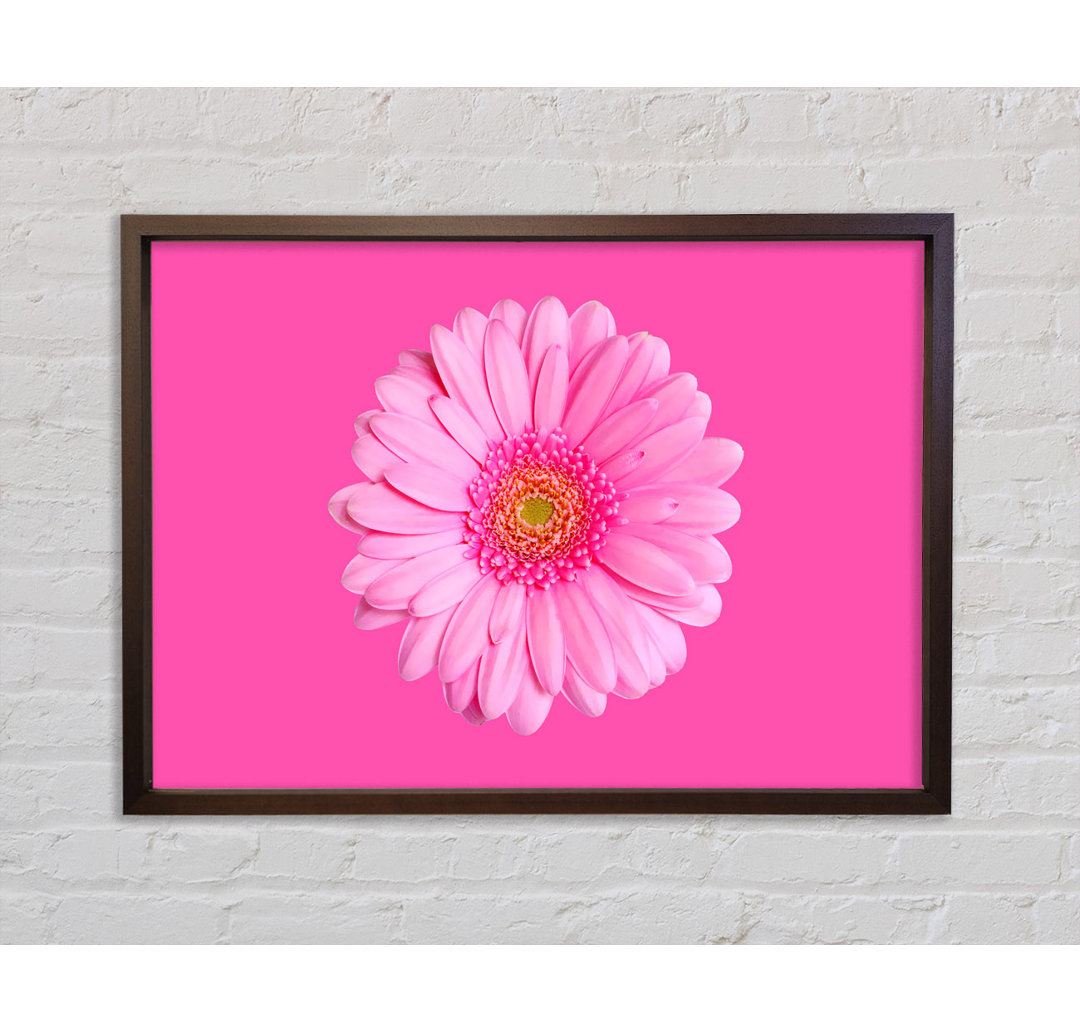 Baby On Gerbera - Einzelner Bilderrahmen Kunstdrucke auf Leinwand