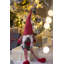Gnome en peluche garçon